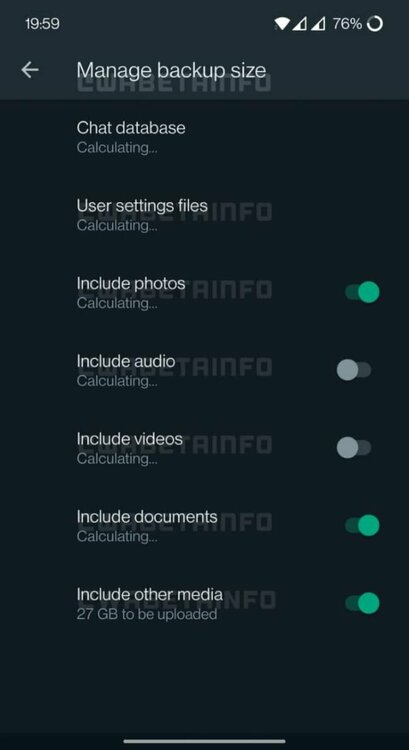 817808925_backup-manage-1(1)_large.thumb.jpg.64e03576e16efdb7ec2774c4fa02907a.jpg