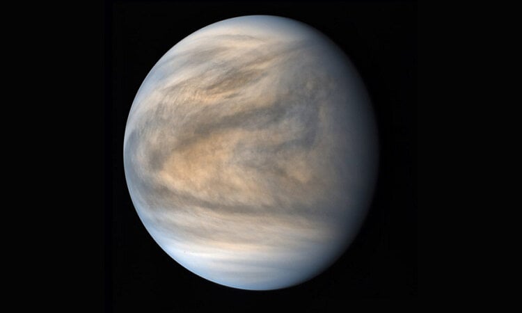 Venus2016.jpg.e2b60ebe9c4b1e890f36eb2700a10f71.jpg