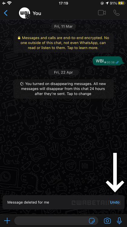 WA_UNDO_MESSAGE_DELETE_FOR_ME_IOS.thumb.jpg.ef35ba5ffb3fd853b9b039b4c9150cda.jpg