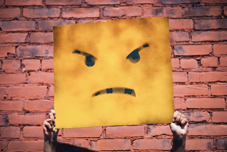 sm.photf5c2b9c93bd.750.jpg