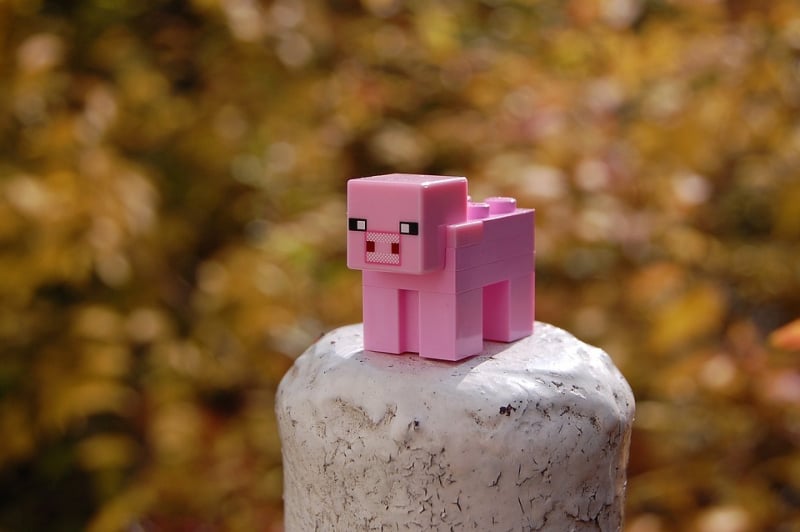sm.minecraft-1275065_960_720.800.jpg
