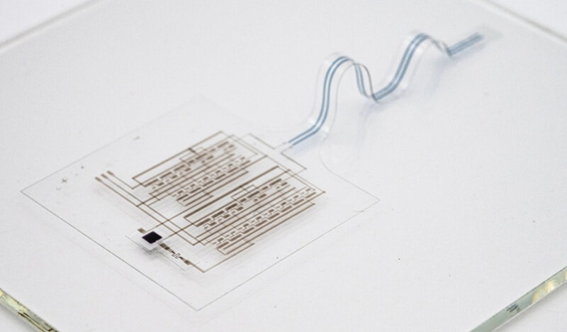 e-skin-is.jpg
