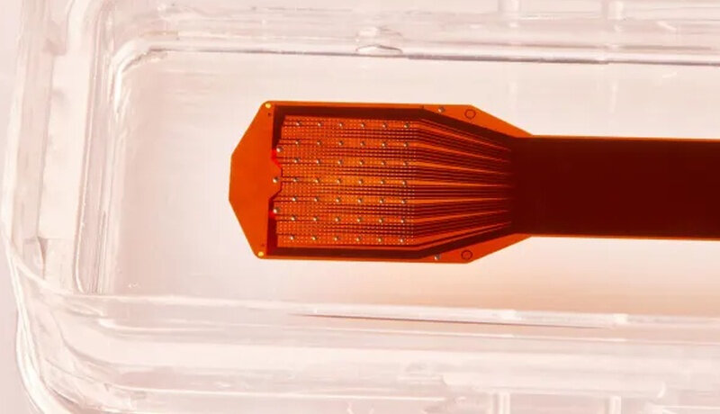 bci-inteface.jpg