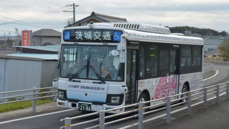bus_01.jpg