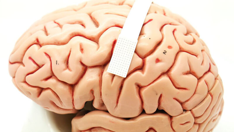brain_00.jpg