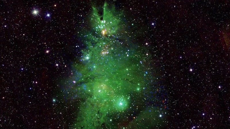 nasa_tree.sm.jpg