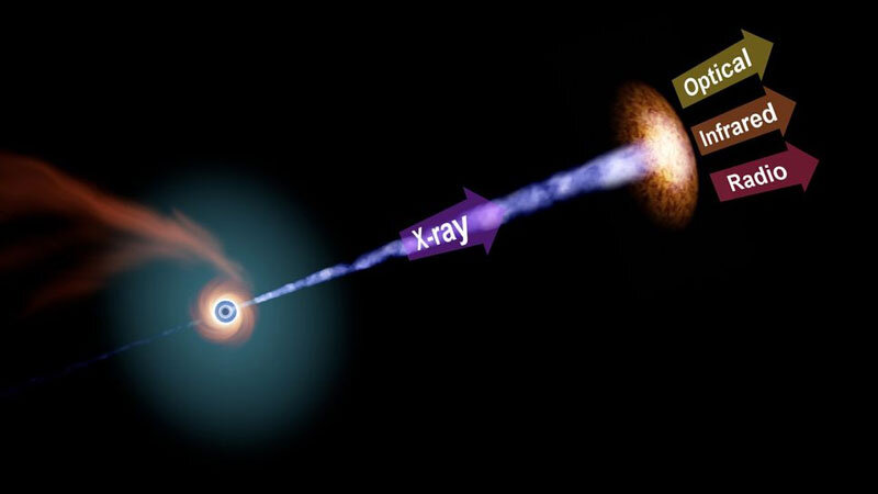 star_bh_01.jpg