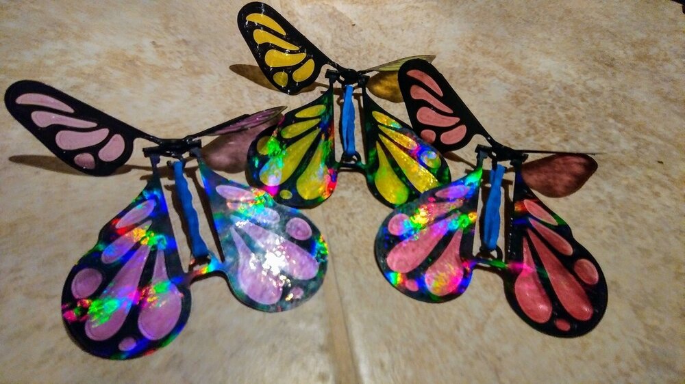 buttflies.jpg