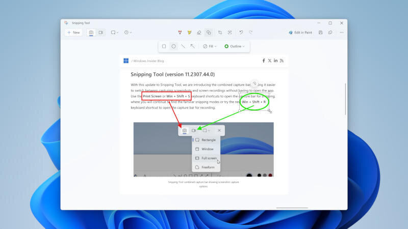windows_2.jpg