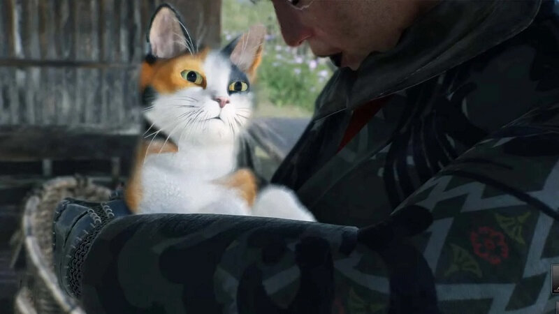 02.jpg