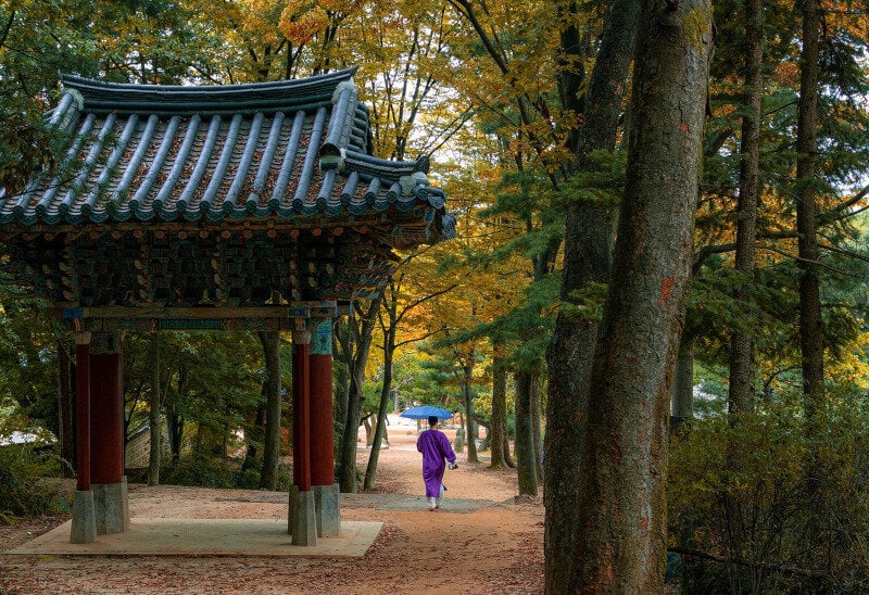 korea.jpg