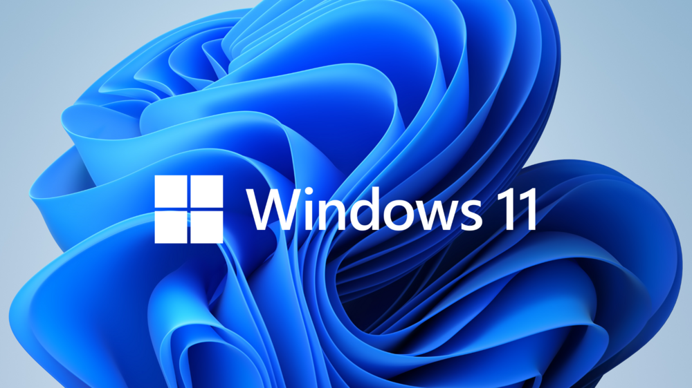 win 11_large.png