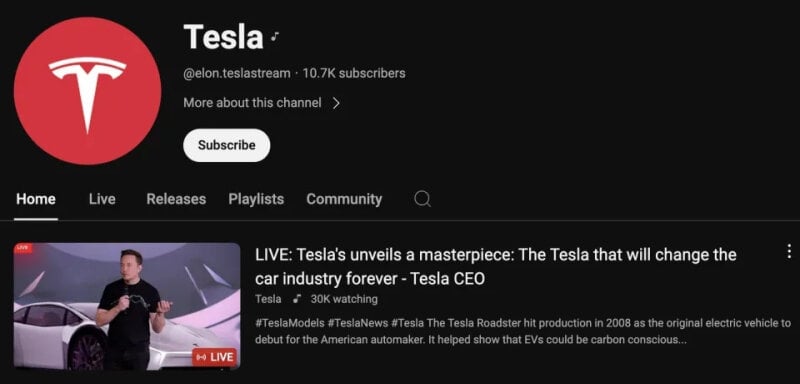 sm.deepfake-elon-2.800.jpg