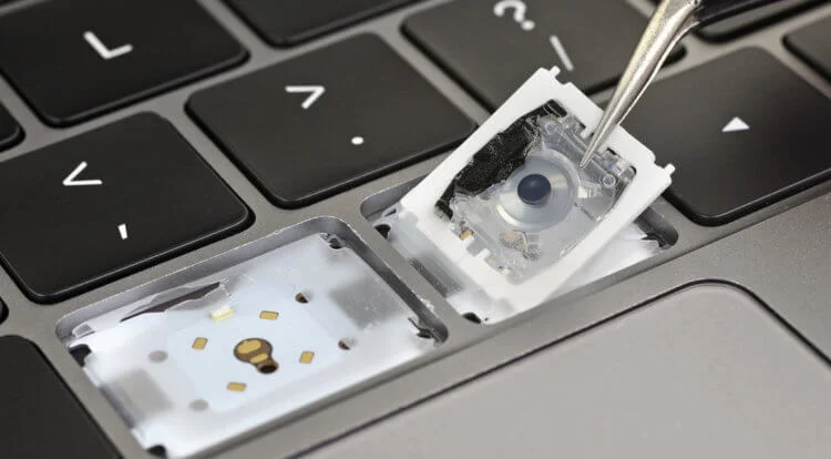 butterfly_keyboard_membrane-750x414.webp