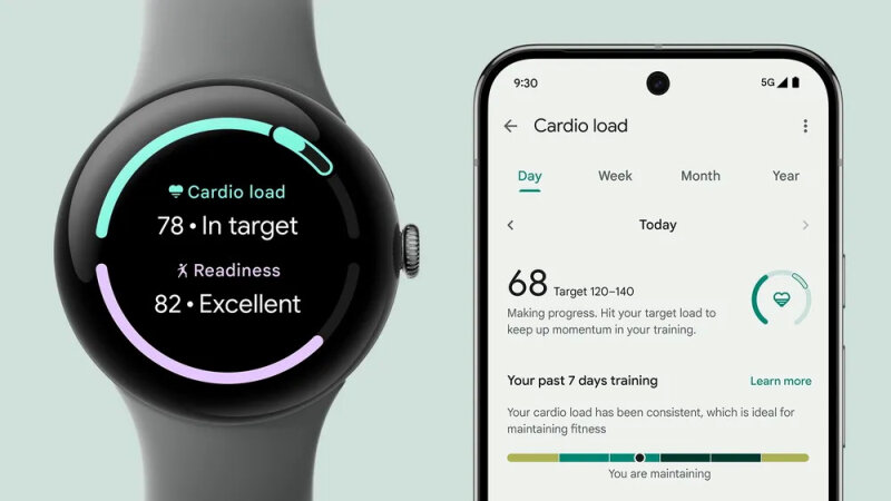 sm.CardioLoad.width-1000.format-webp.800.jpg