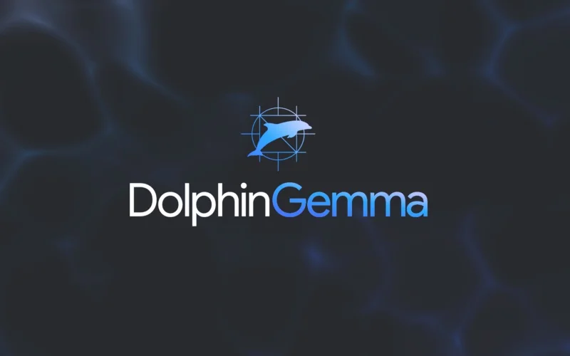 dolphin-gemma.webp