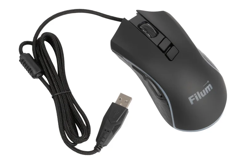 FL-GM20_03.webp