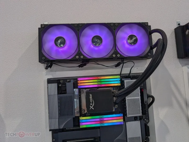 sm.hJt6M8rCuXdjLq3I.800.webp