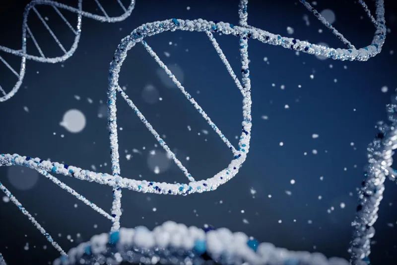 dna_1.webp