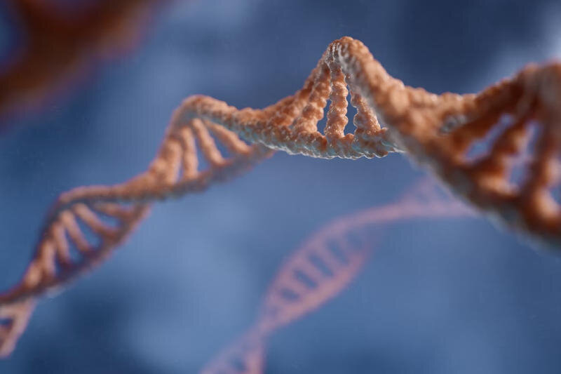 dna_2.jpg