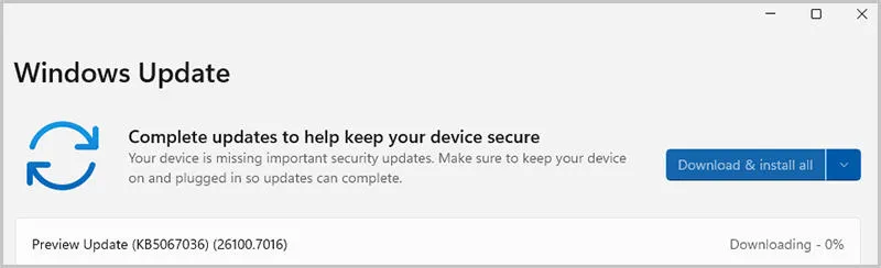 windows_1.webp