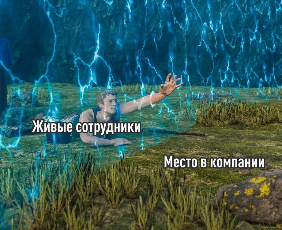 5c6e9bae-5889-4248-b594-b0e39b7d436a.jpg