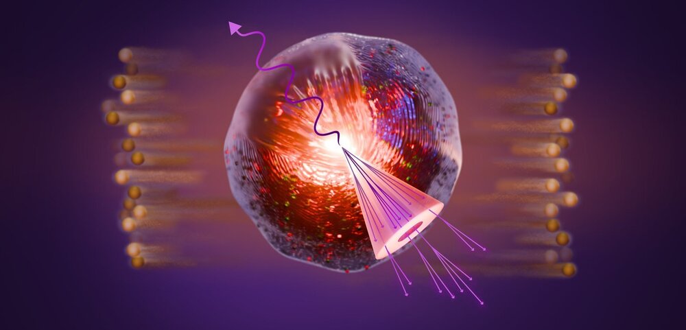 AQA4a50SLF2bXPipxN0AovtBc8-CEpJpUueoIep7Xq5IQX3_6ZM350H6qScavUZlNUfVMDxVMMCktXavRuFLtbk8Xg0.jpg