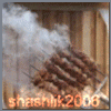 shashlik2006
